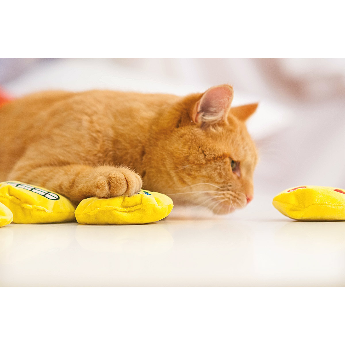 Aumüller Katzenspielkissen Emojis, 2er Set kaufen
