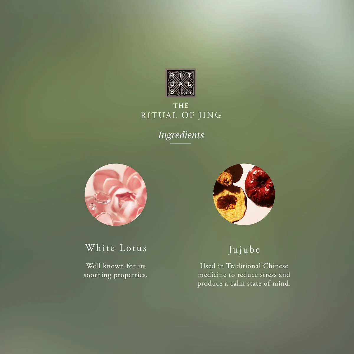 Hjem Kollektion The Ritual of Jing Duftpinde - Parfumediffuser