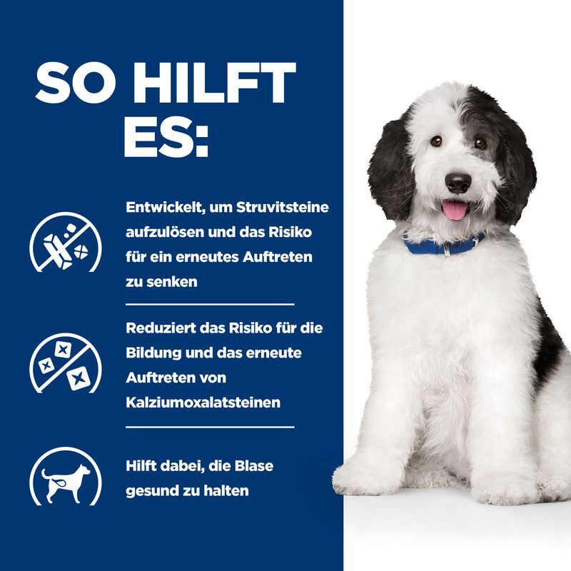 Hill's Hundenassfutter Hill's Prescription Diet c/d Multicare mit Huhn 24x156g