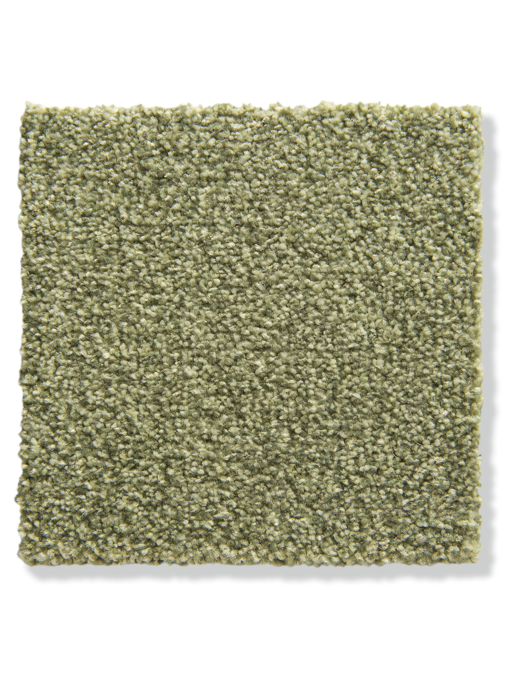 Salerno Velours-Teppichboden, Green