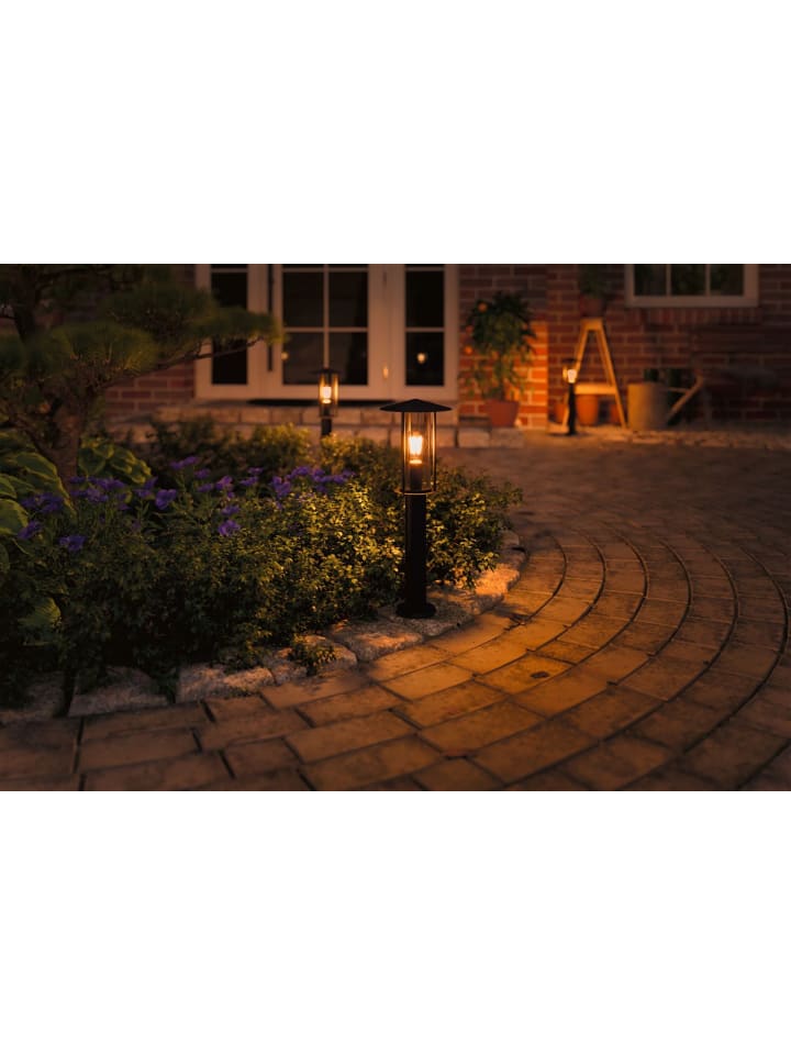 paulmann Filament 230V LED Birne insektenfreundlich F günstig kaufen onesize