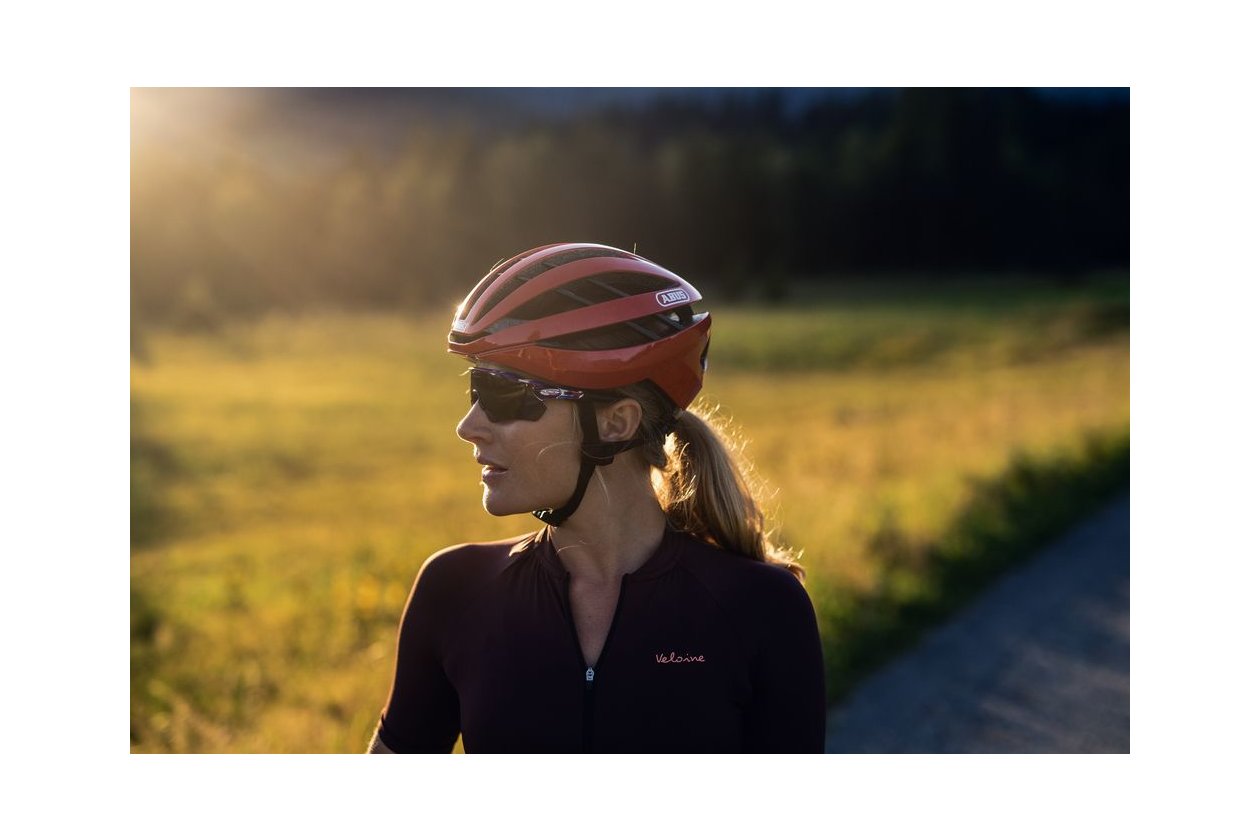 Abus Aventor