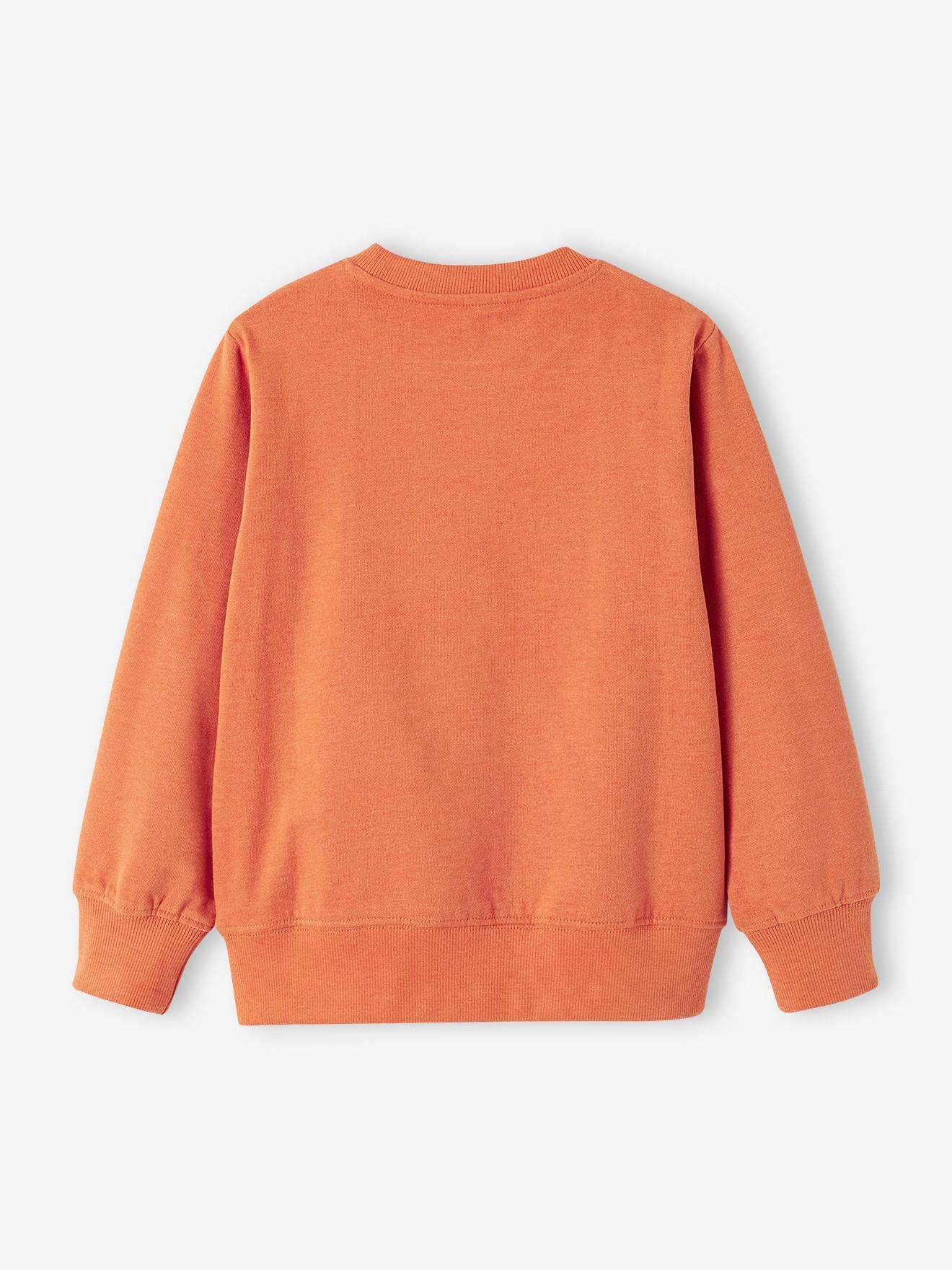 Vertbaudet Jungen Sweatshirt mit Print BASIC Oeko-Tex - beige meliert