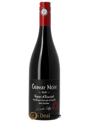 Beaujolais-Villages Gamay Noir Vignes d'Ecussol Château Thivin  2021 - Lot de 1 Bouteille