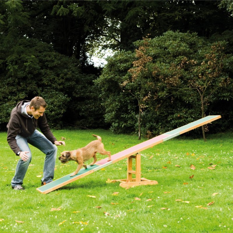 Trixie Agility & Training Trixie Agility Wippe