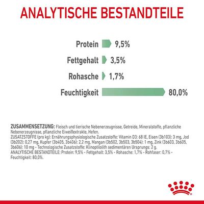 Royal Canin Digestive Care in Soße