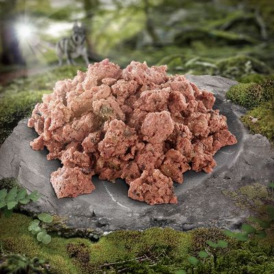 Wolf of Wilderness MINI Adult 6 x 150 g Schale - Single Protein