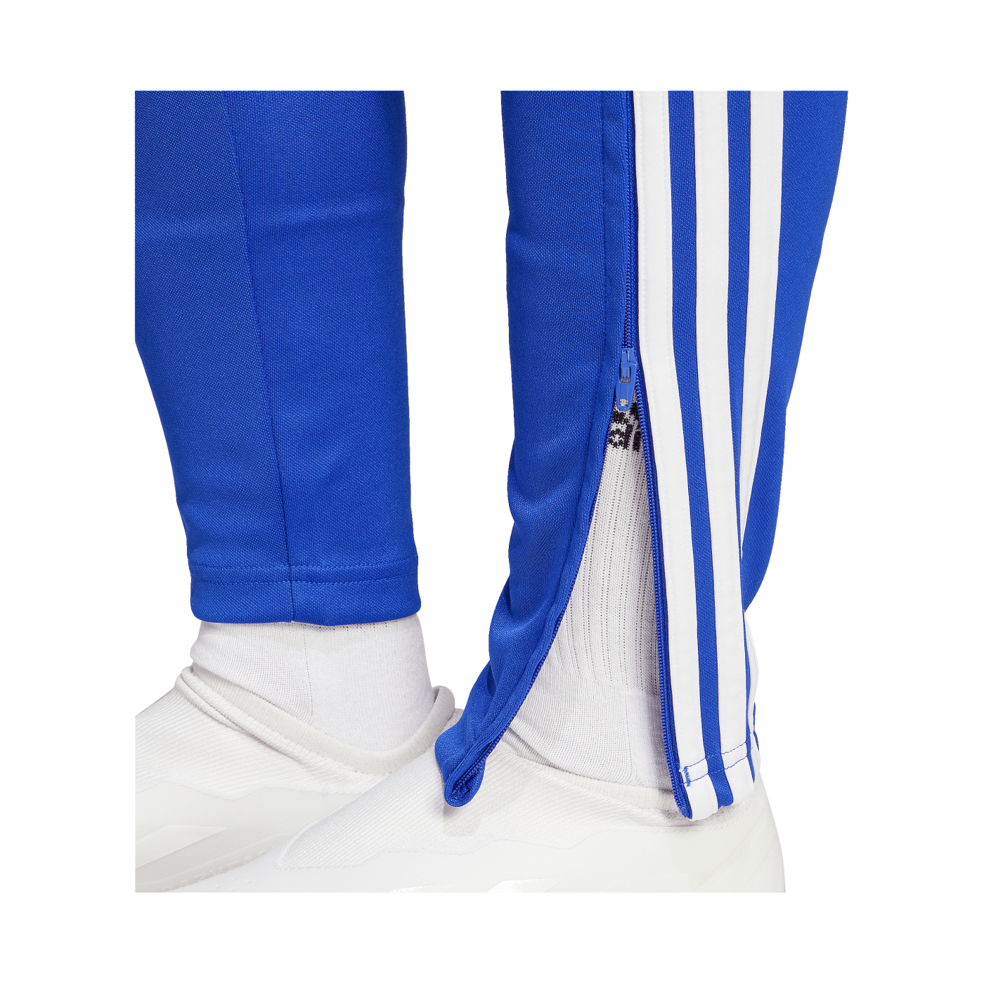 adidas Tiro 24 Trainingshose Damen Blau