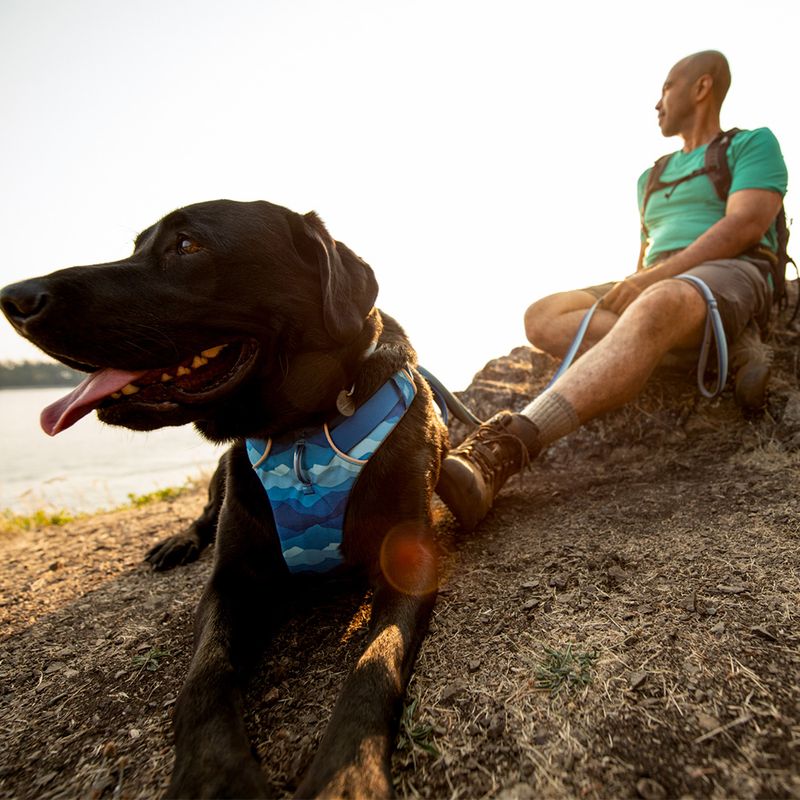 Ruffwear Front Range Hundegeschirr, Coastal Mountains | bitiba %
