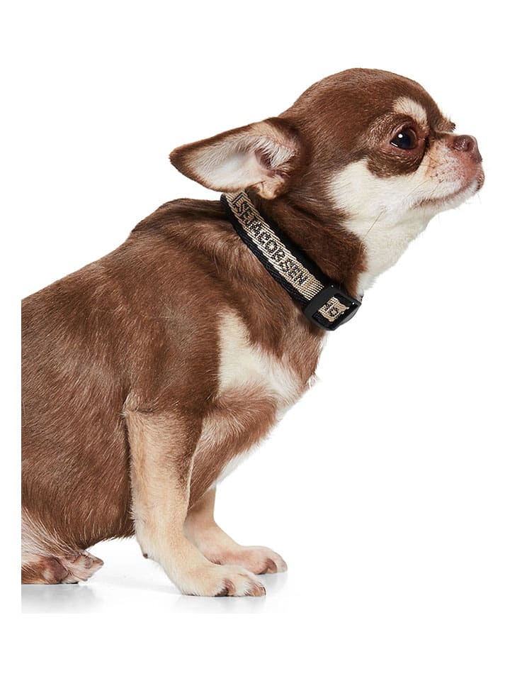 VOV & VUF Hundehalsband in Schwarz/ Creme günstig kaufen 28 cm