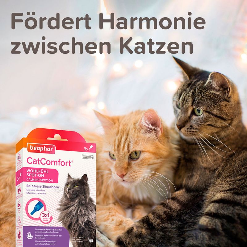 Beaphar CatComfort Wohlfühl Spot-On zu TOP-Preisen