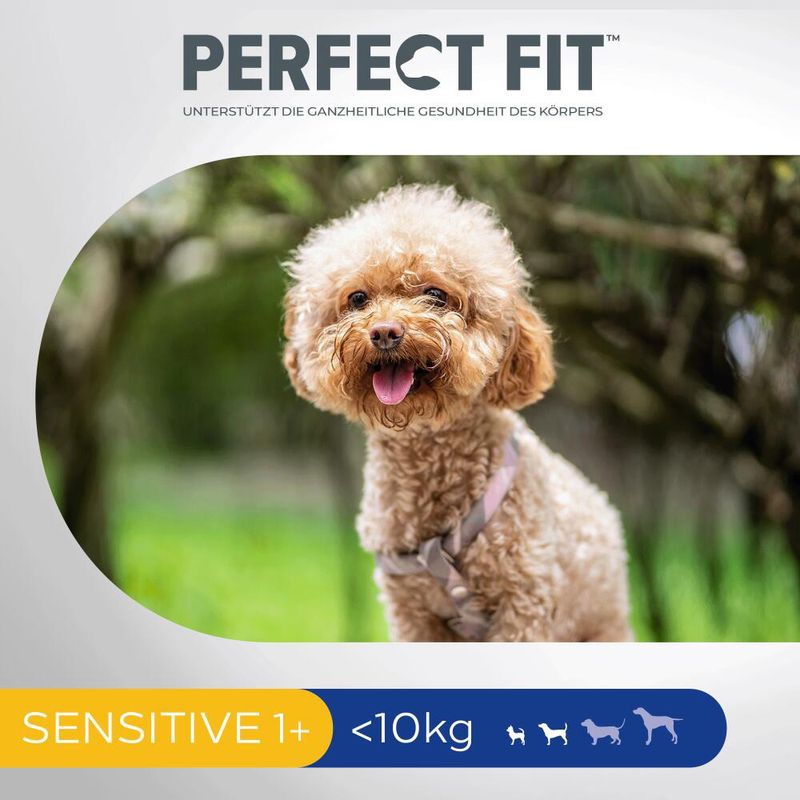 Perfect Fit Sensitive Adult Dog (<10 kg) mit Truthahn