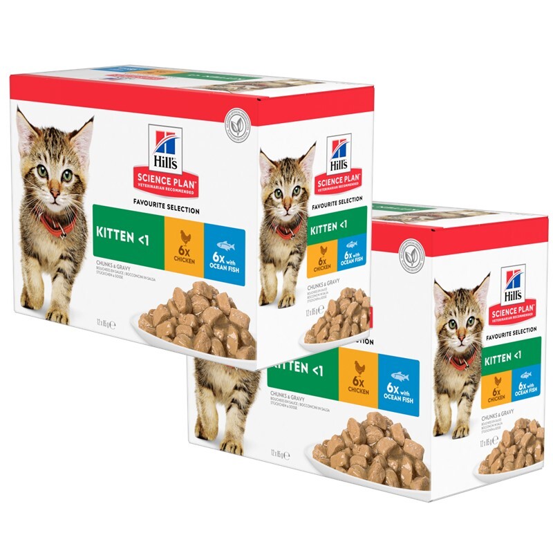 Hill's Nassfutter Hill's Science Plan Kitten Multipack mit Huhn und Seefisch