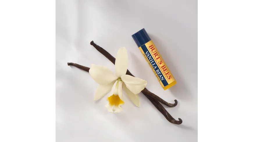 BURT'S BEES Vanilla Lip Balm 4.3 g
