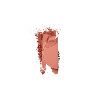 Dr. Hauschka Teint Blush Rouge-5 g