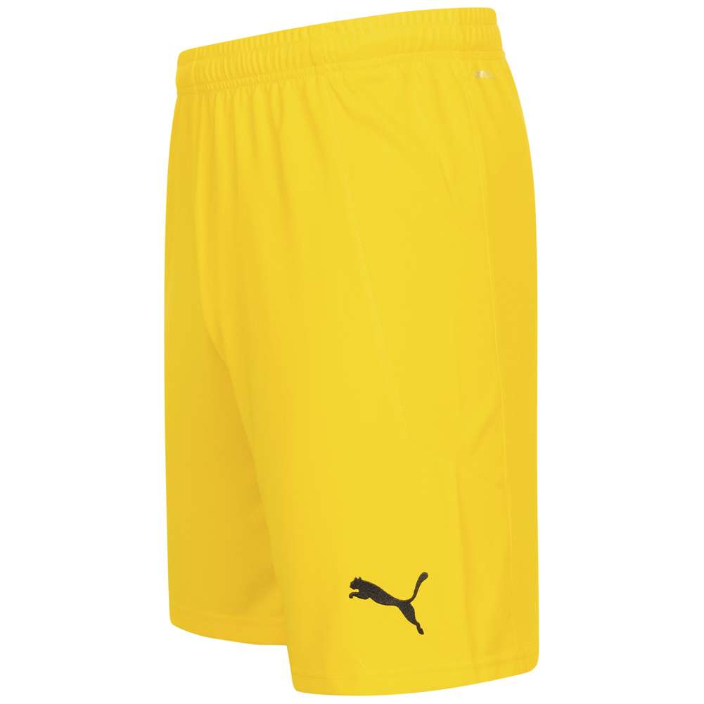 Österreich PUMA Herren Torwart Shorts 756562-06