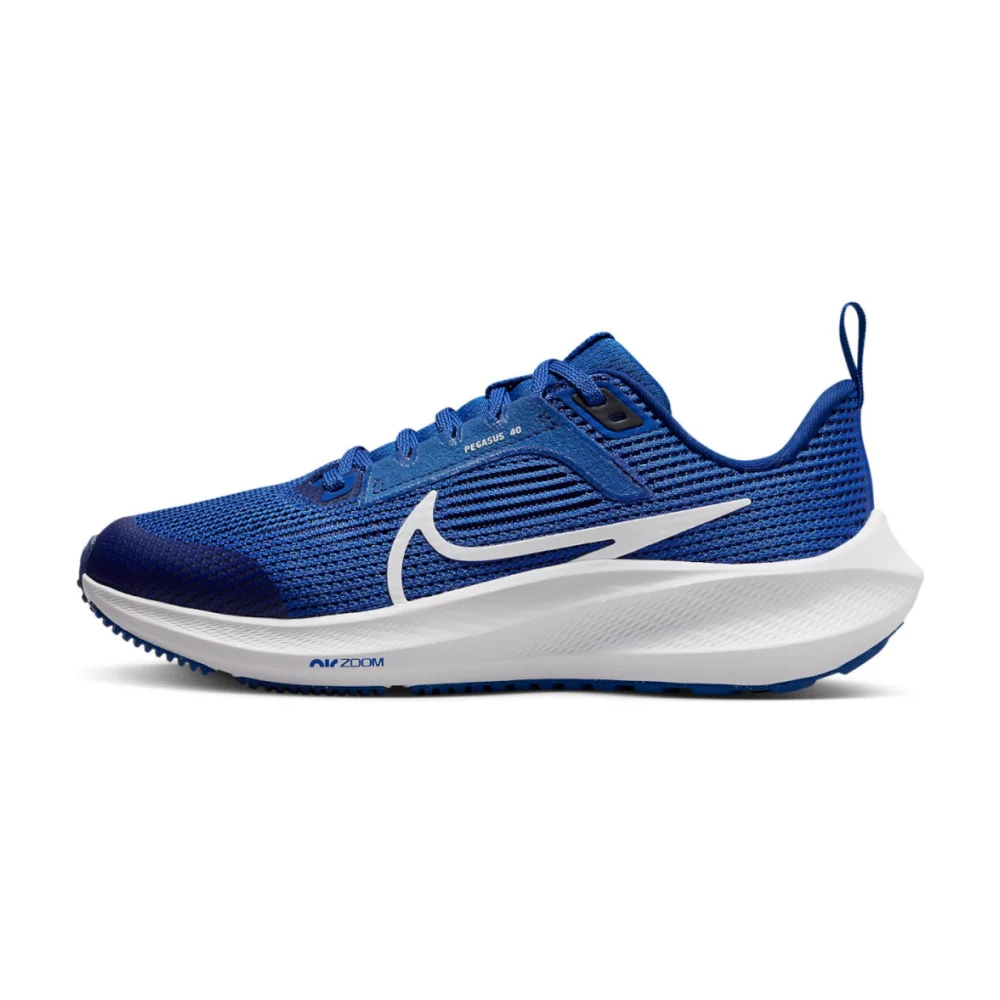 Nike Air Zoom Pegasus 40 DX2498-400 / blau