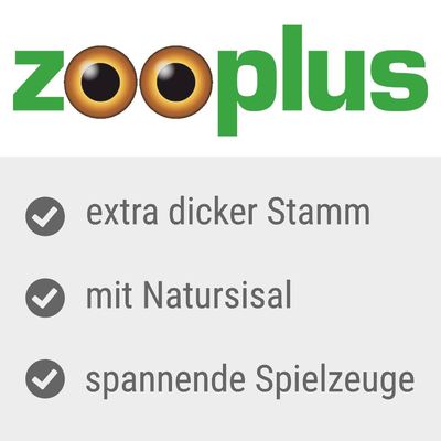XXL Kratzstamm Premium
