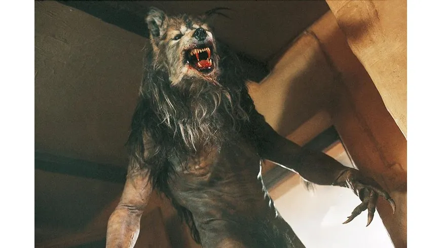 Dog Soldiers - Steelbook  (4K Ultra HD) (+ Blu-ray)