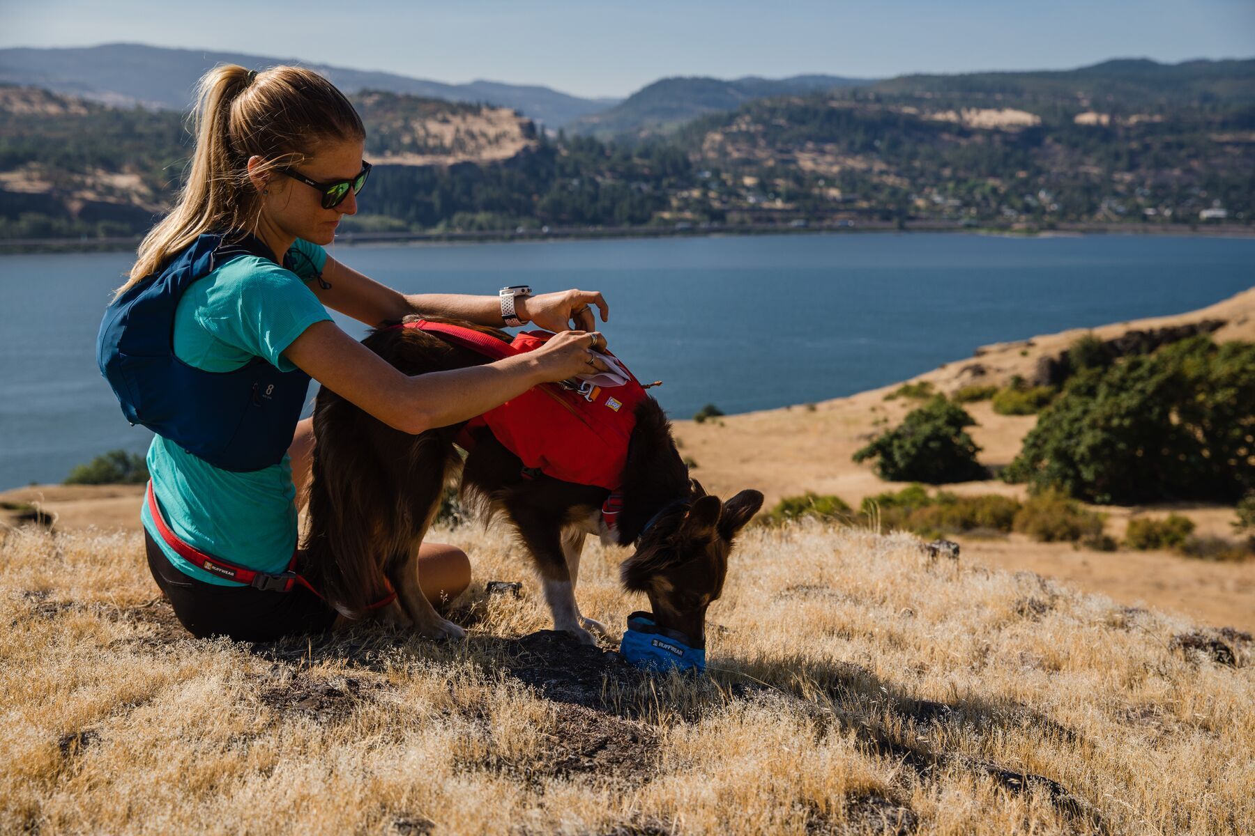 Ruffwear Hundegeschirre Ruffwear Switchbak™ Geschirr rot L-XL