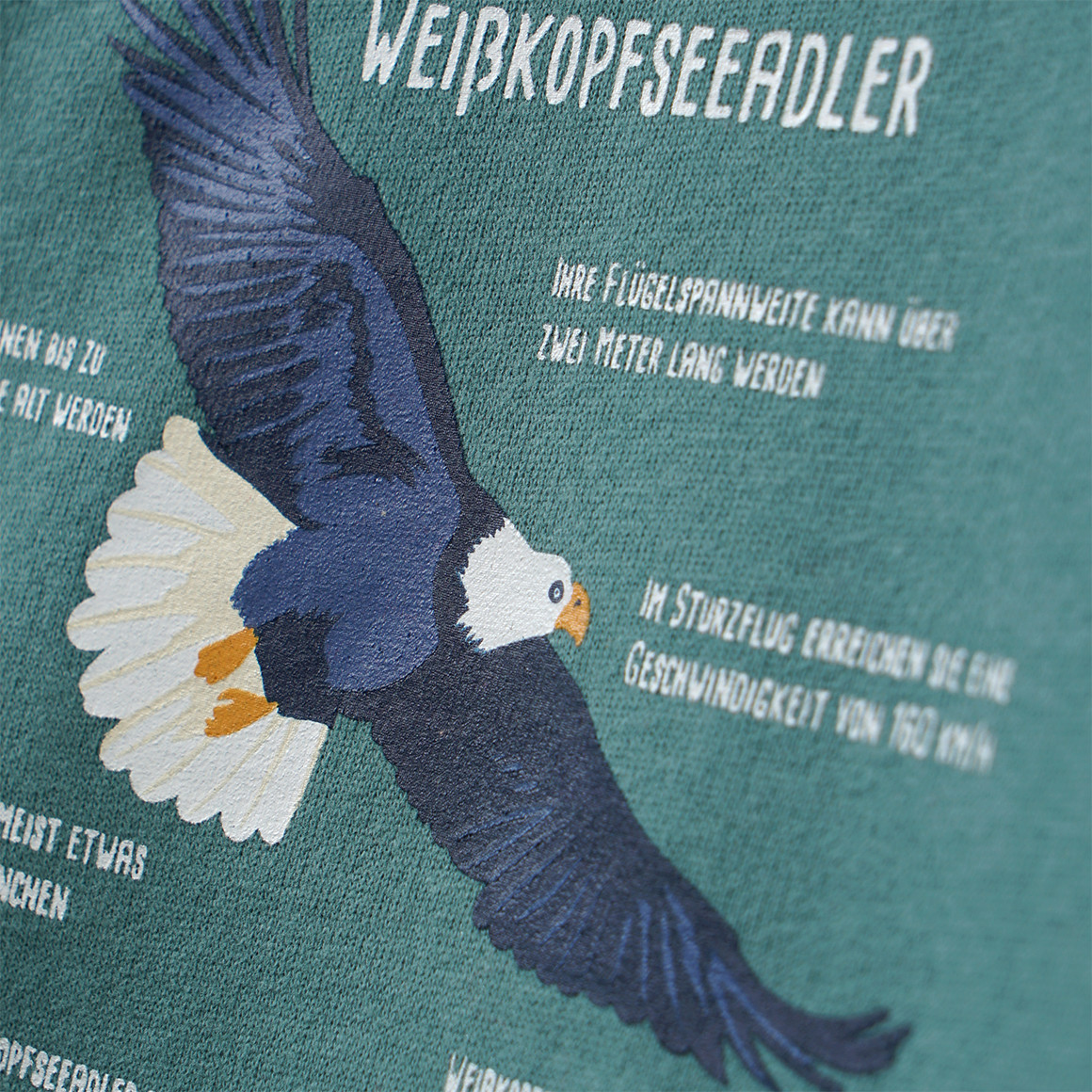 Baby Sweatshirt mit Weißkopfseeadler-Motiv