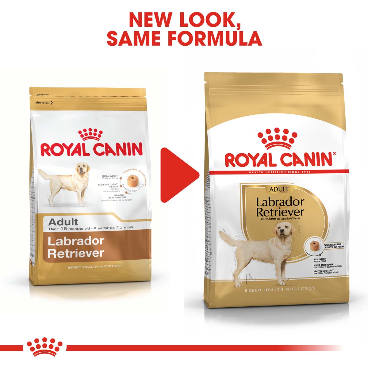 ROYAL CANIN Labrador Retriever Adult Hundefutter trocken