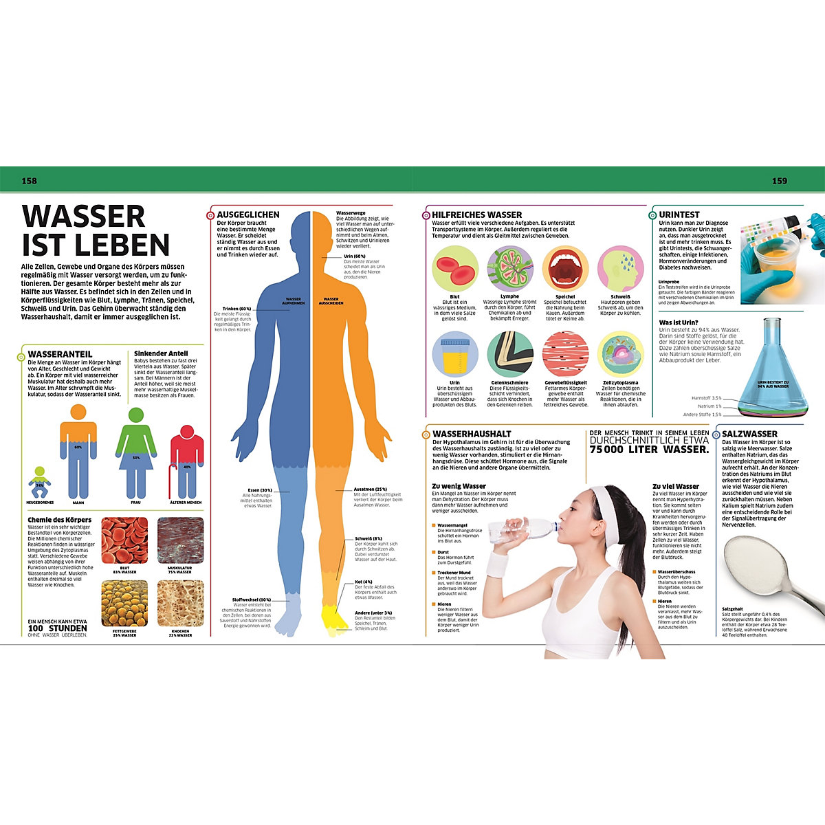 Wissen - Mensch