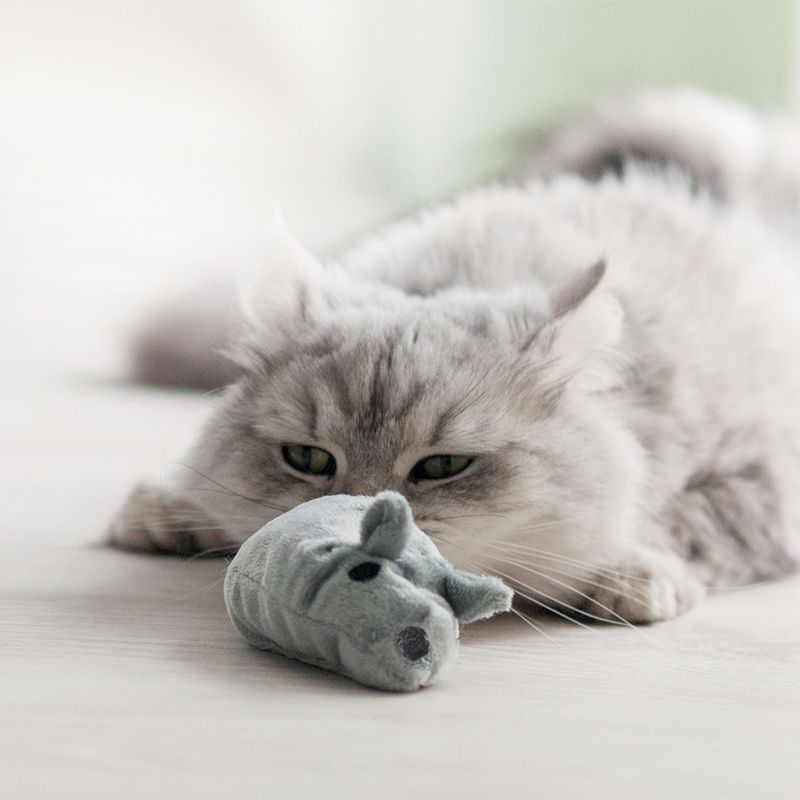Aumüller Katzenspielzeug Baldi-Maus zu TOP-Preisen