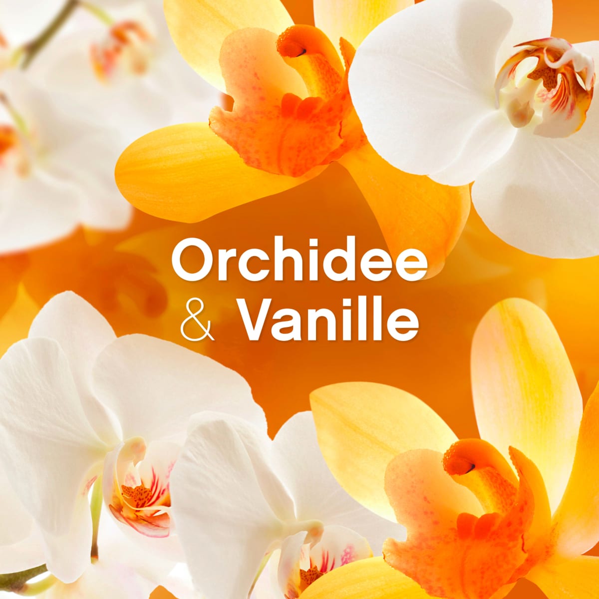 Weichspüler Orchidee & Vanille 38WL, 0,95 l