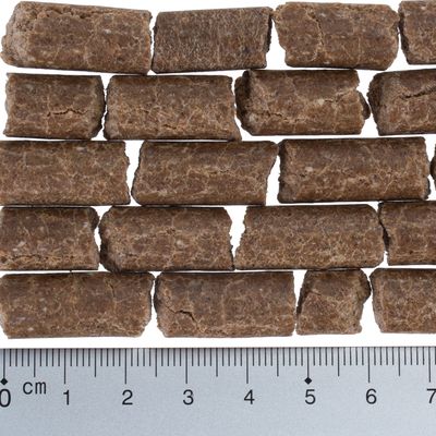 Sparpaket Lukullus  2 x 10 kg / 15 kg
