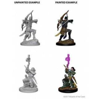 Elf Male Bard: Nolzurs Marvelous Unpainted Minis