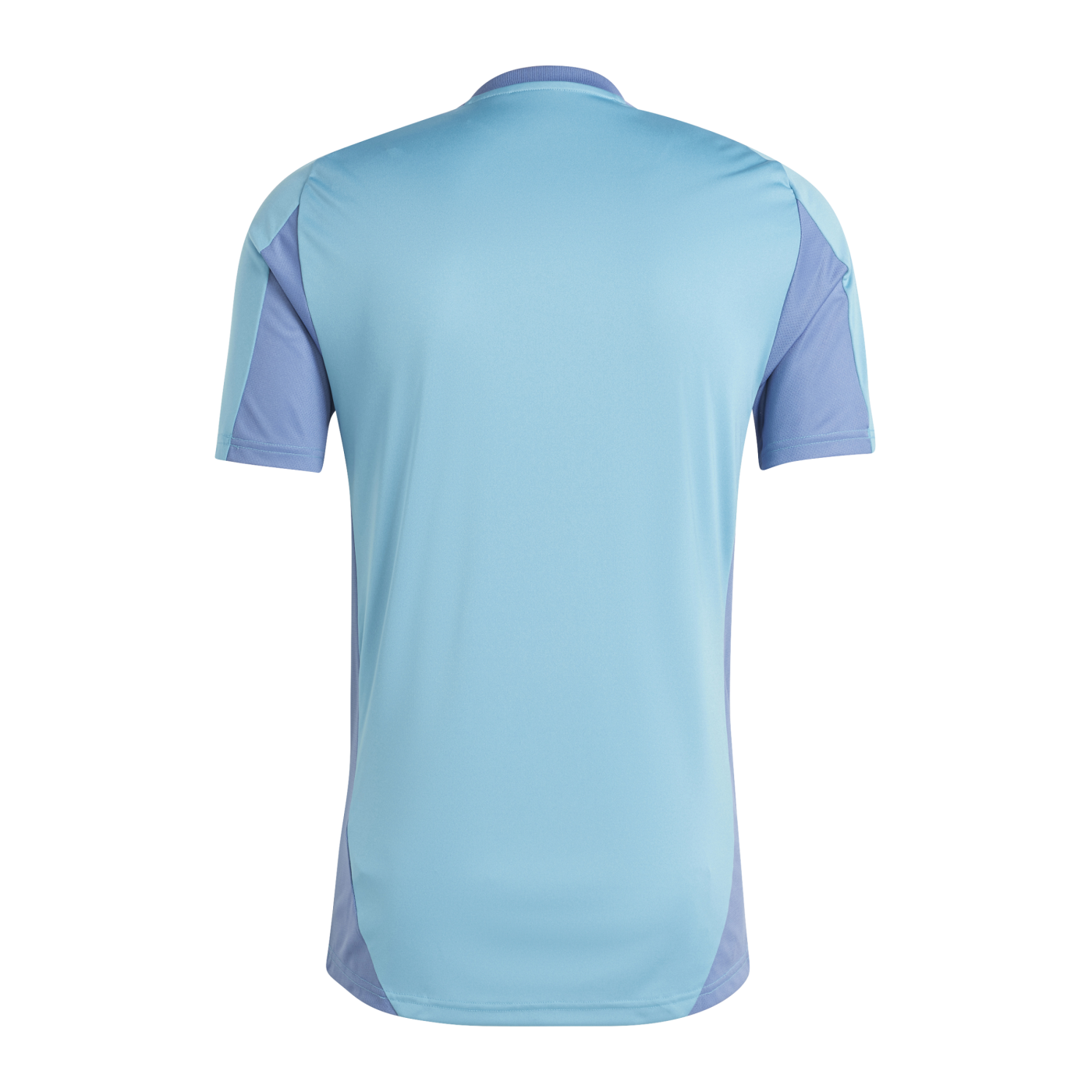 adidas Ajax Amsterdam Training T-Shirt Blau