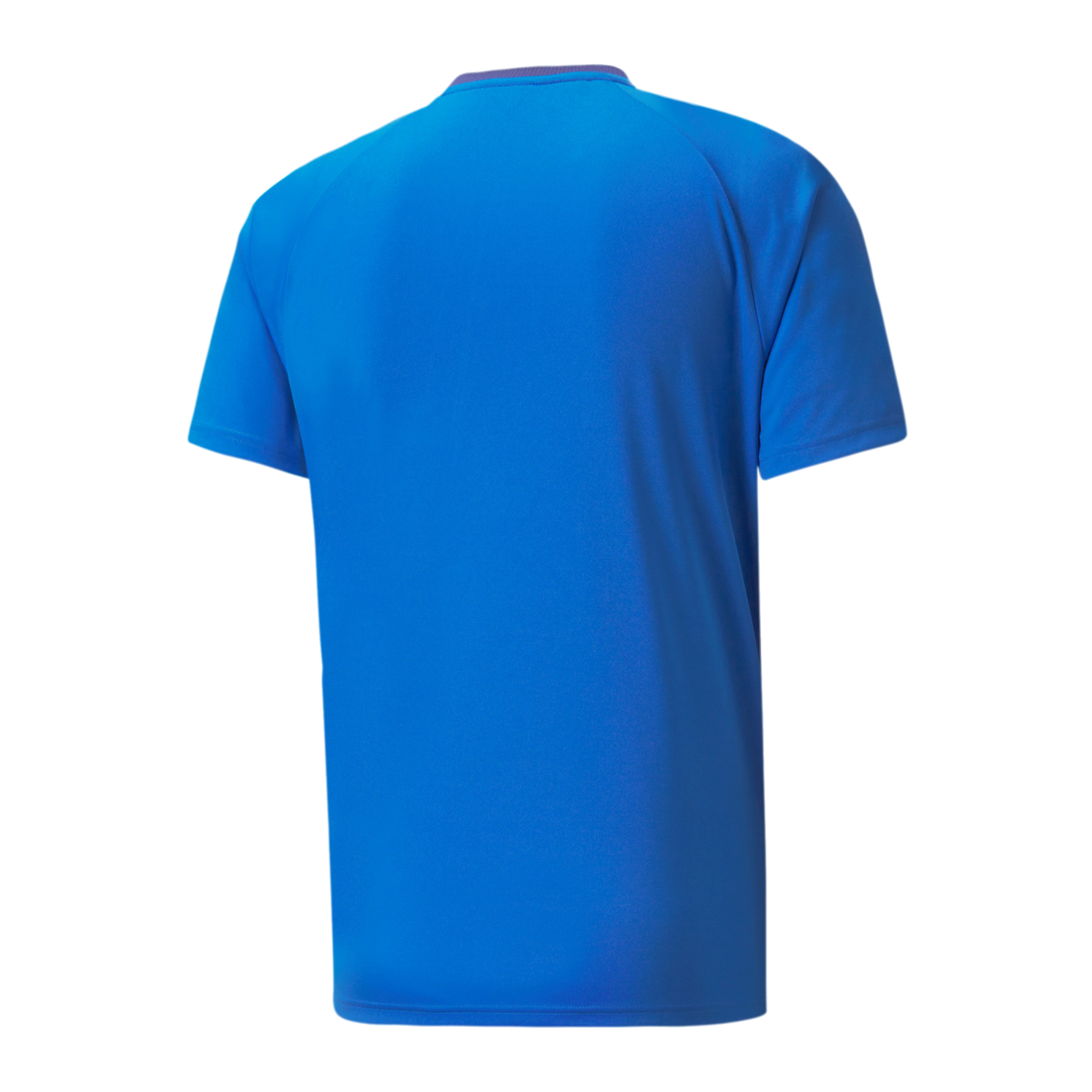 PUMA teamVISION Trikot Blau F02