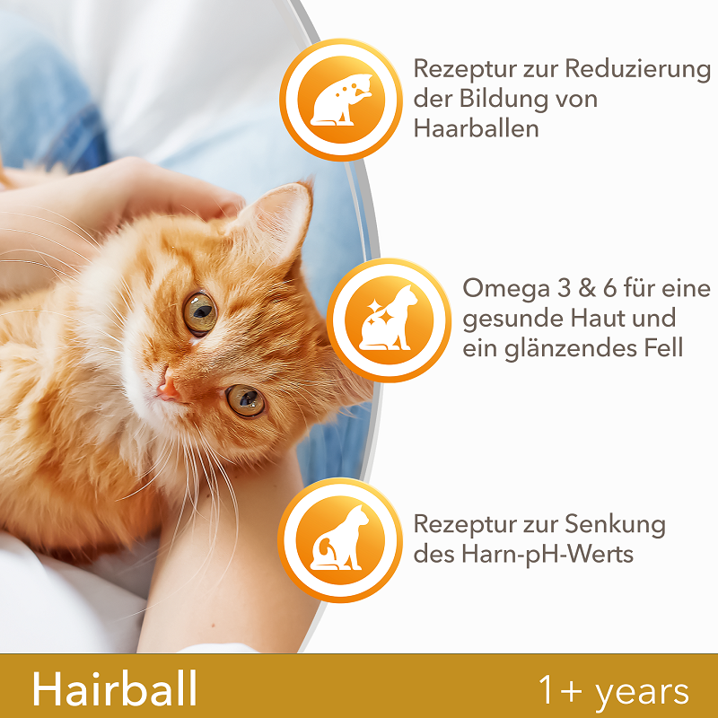 IAMS Trockenfutter IAMS Vitality Adult Hairball Huhn 2x10 kg