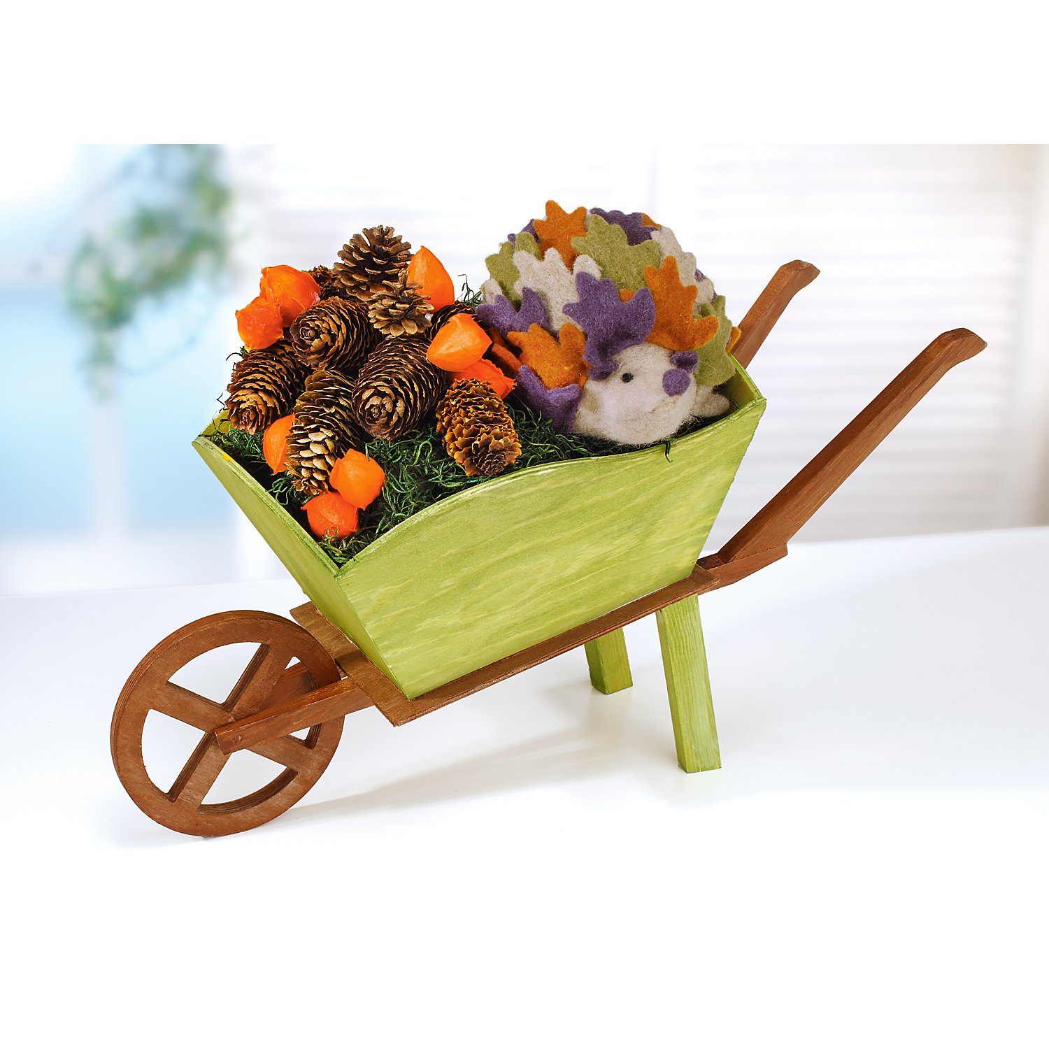 Deko-Physalis, 24 Stück
