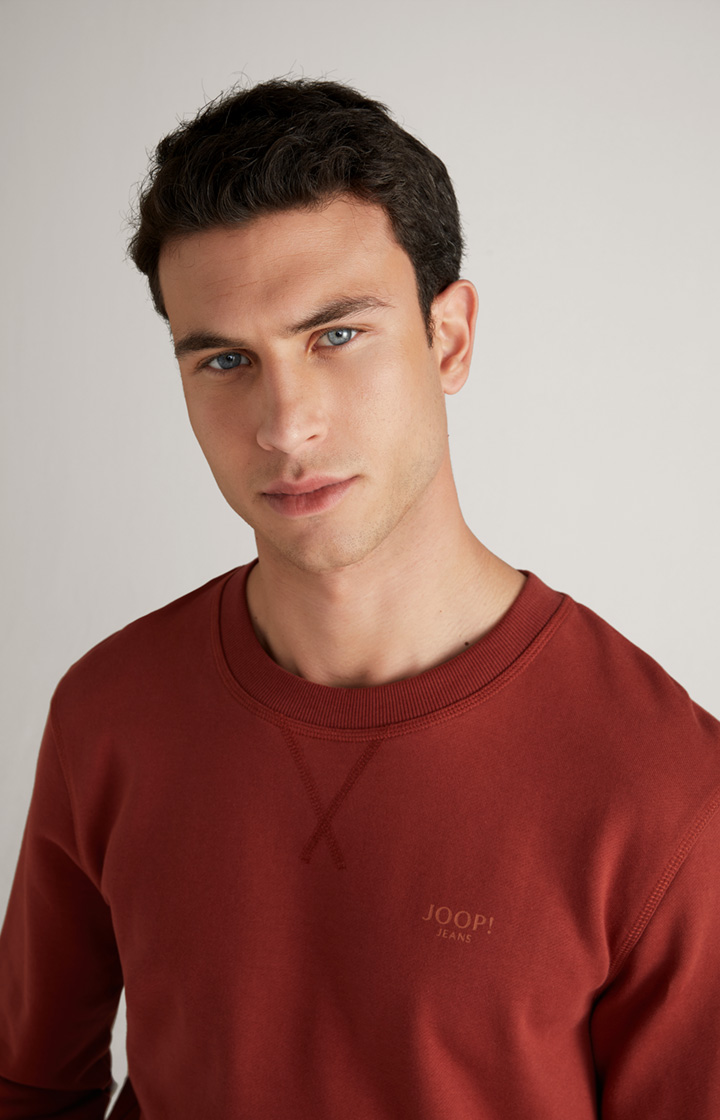 Sweatshirt Salazar in Rost