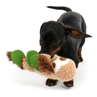 Hundespielzeug Faultier