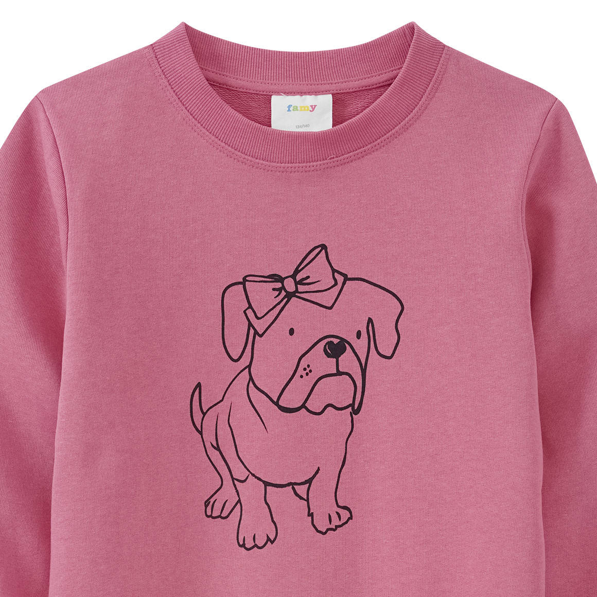 Mädchen Sweatshirt mit Hunde-Print