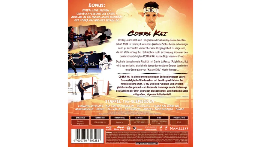 Cobra Kai -  Staffel 1  [2 BRs]