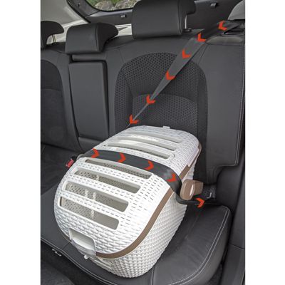 Curver Transport Box
