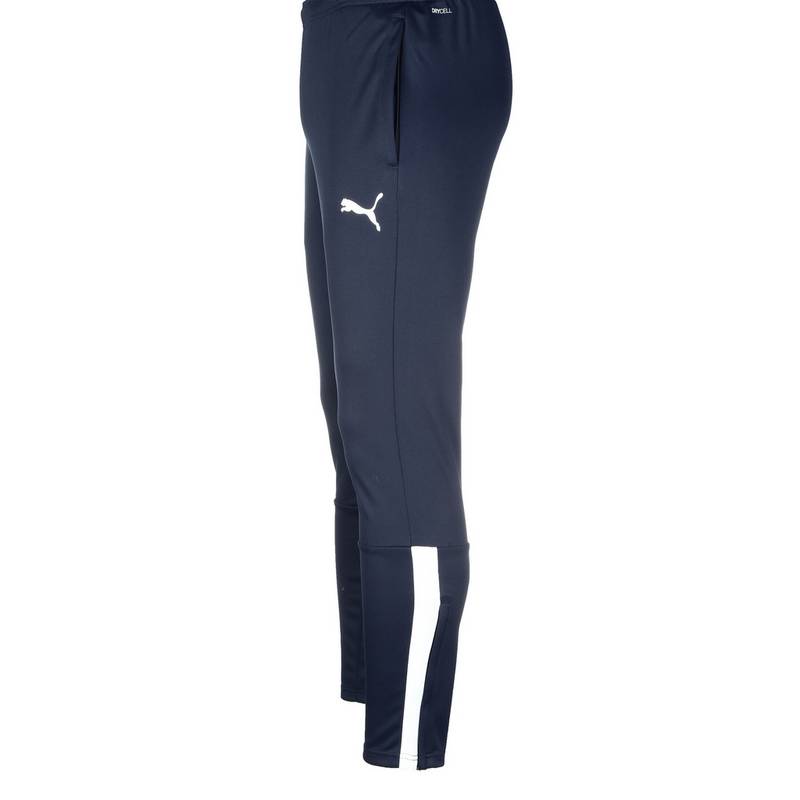 PUMA teamLIGA Trainingshose Herren