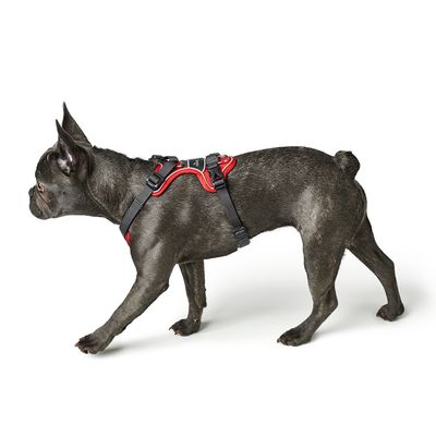 HUNTER Geschirr Divo, rot/grau