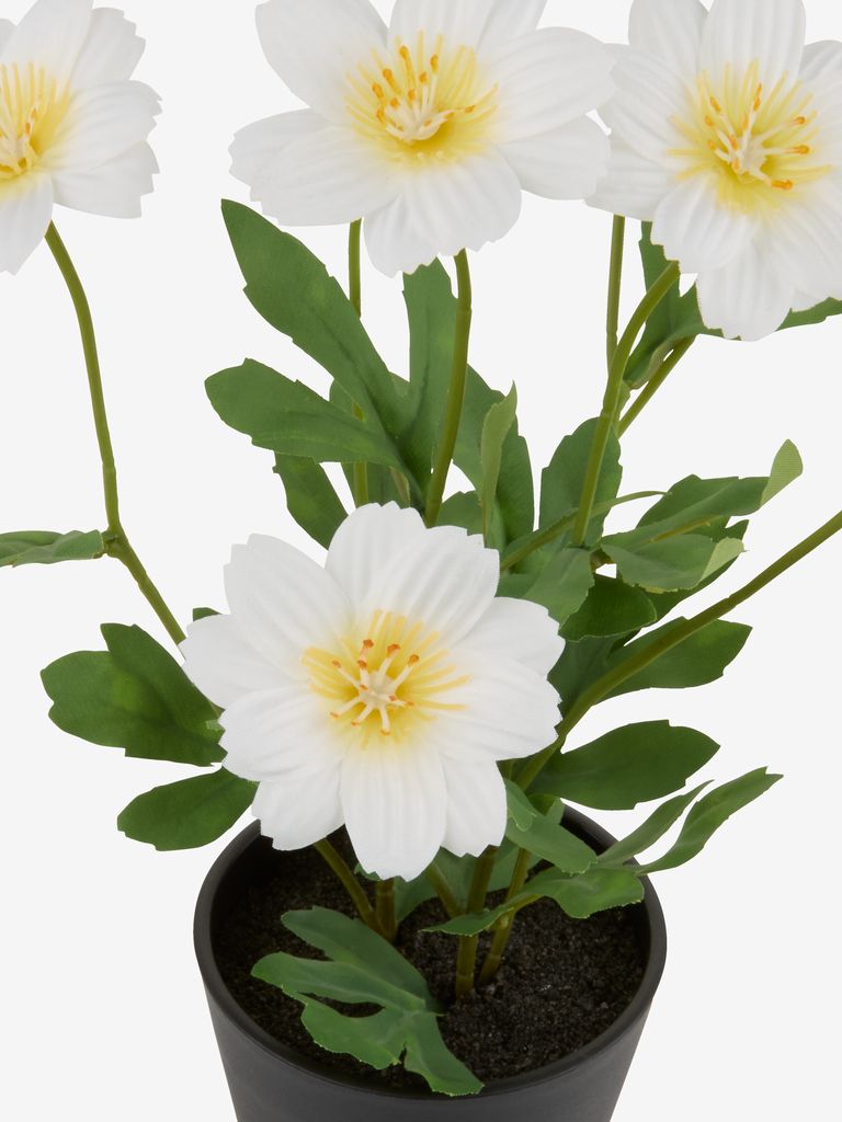 EINERT Kunstig plante EINERT Ø18xH32cm med potte