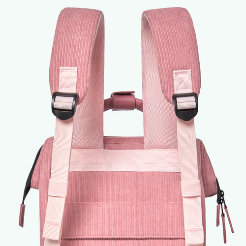 Adventurer Small Backpack, Gold Coast Pink