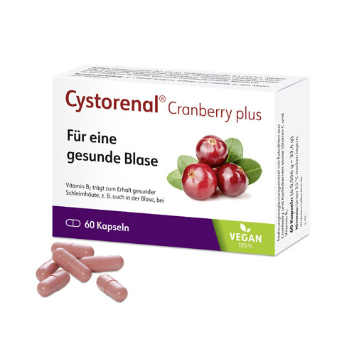 CYSTORENAL Cranberry plus Kapseln  60 St  Kapseln