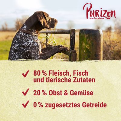 Purizon Large Adult Huhn & Fisch - getreidefrei