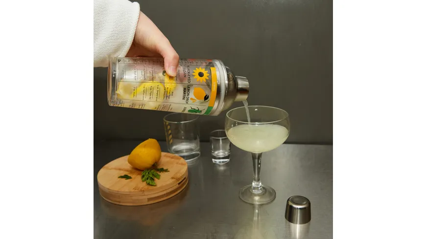 Kikkerland Four Seasons Cocktail Shaker