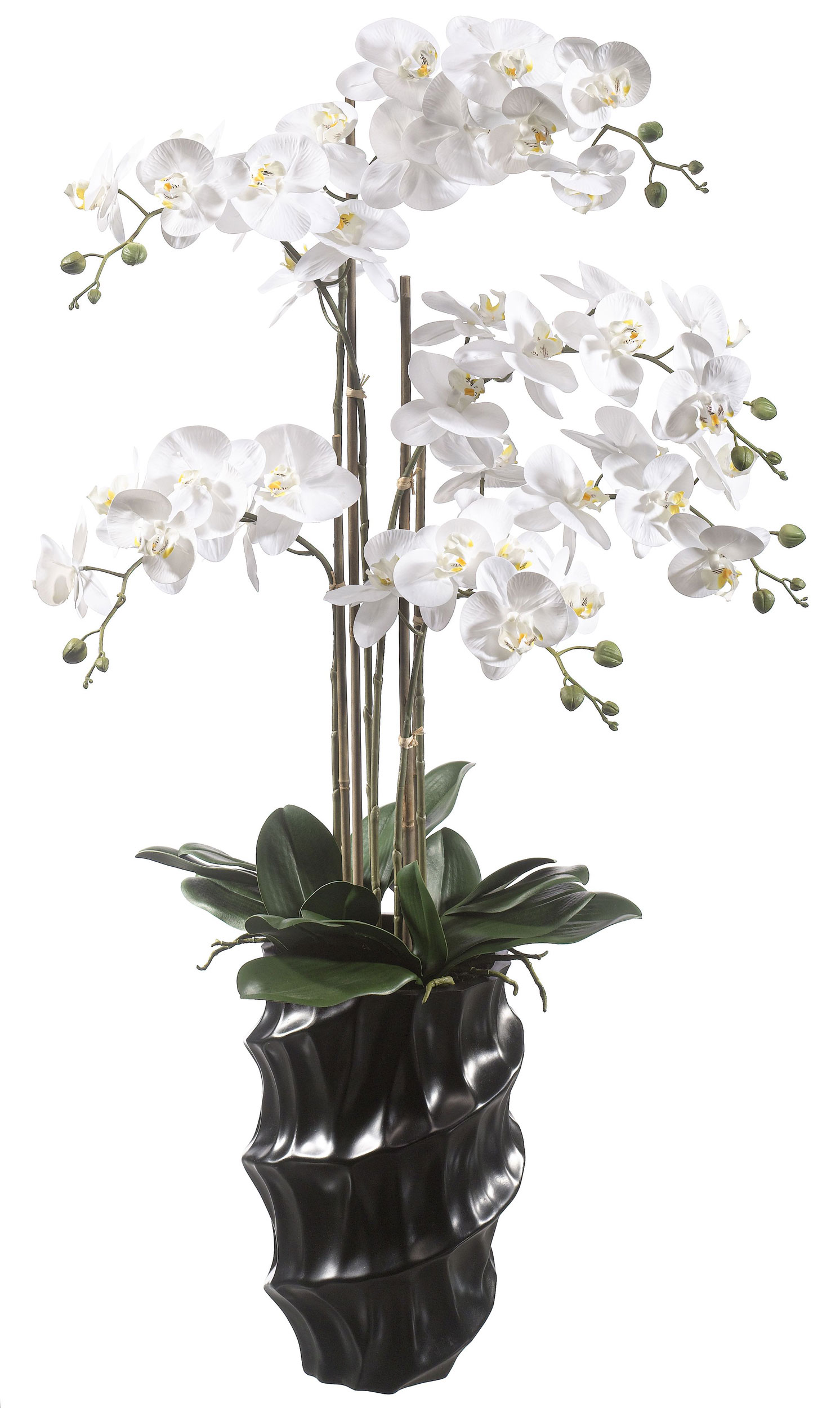 casa NOVAOrchidee 110cm