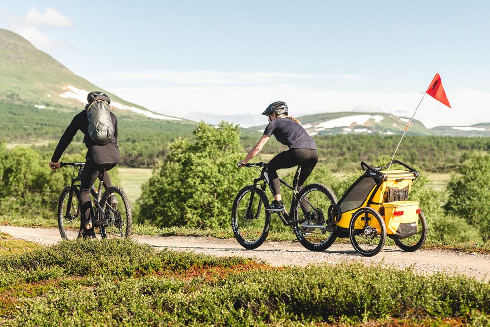 Thule Chariot Sport 1 kaufen | Bike-Discount