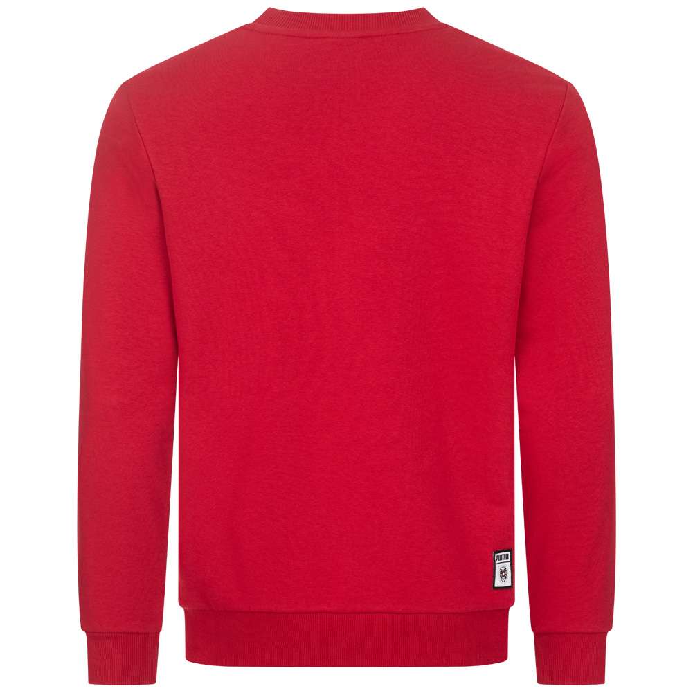 Österreich PUMA DNA Herren Sweatshirt 757353-01